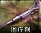 Drgwicon.png