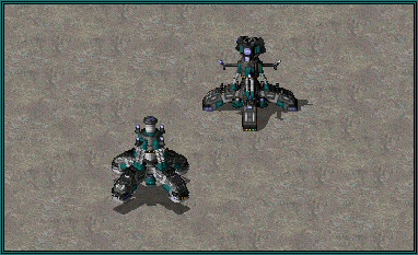 Foeorcinus.png