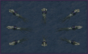 Epssquid.png